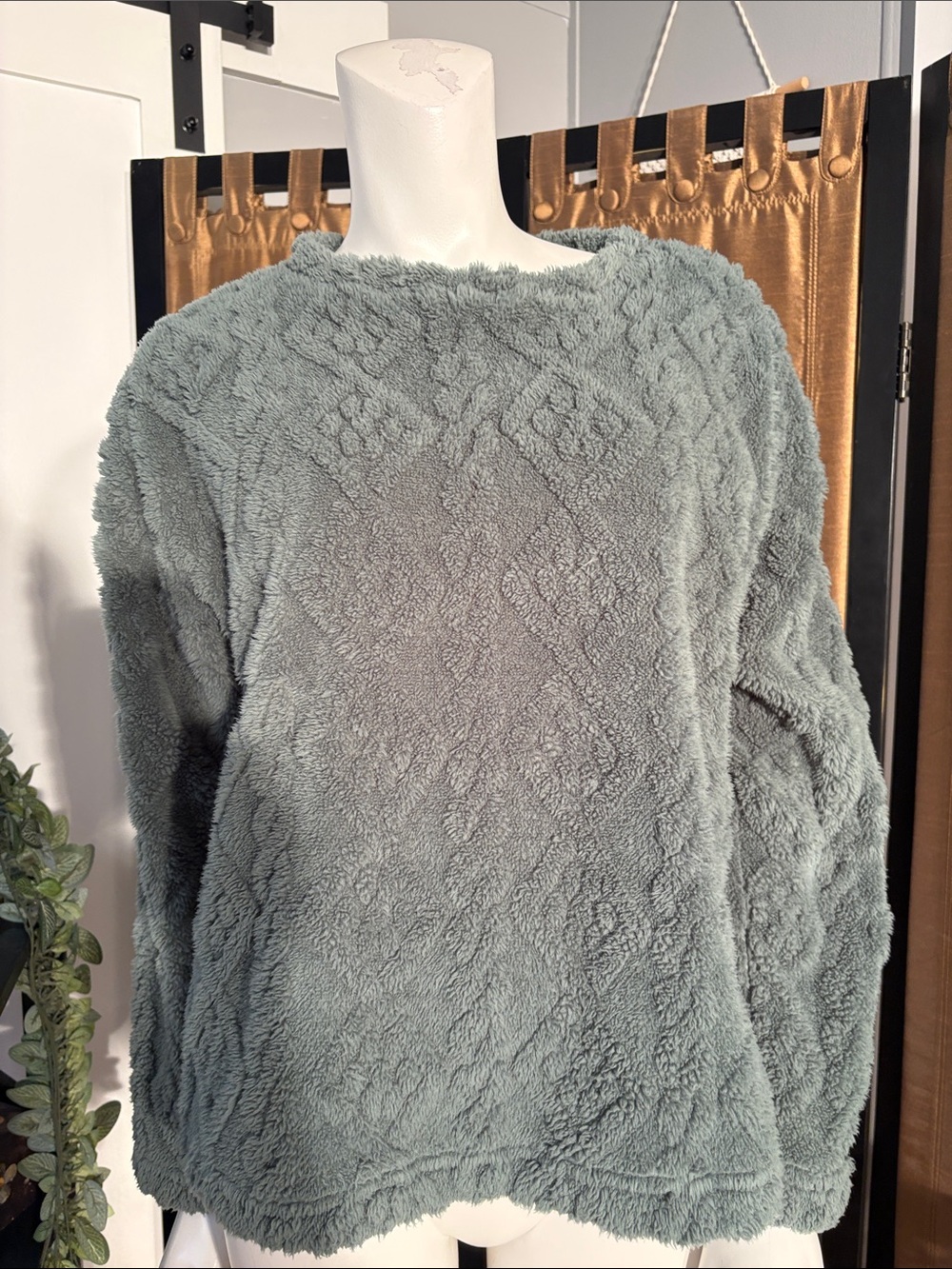 Plush Textured Women's Sweater in Sage Green